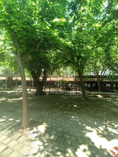 Yorum fotoğrafı 5