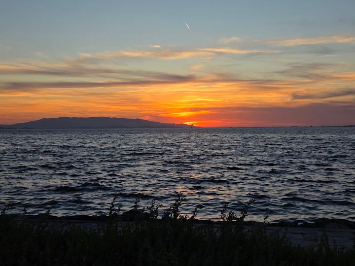 Fotoğraf 13