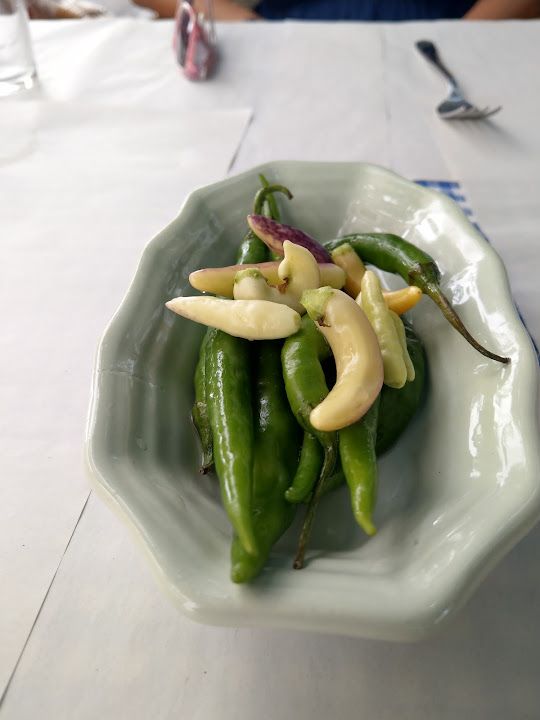 Fotoğraf 14
