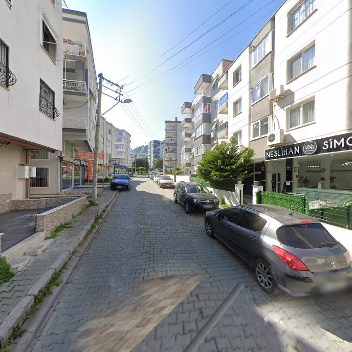 Fotoğraf 7