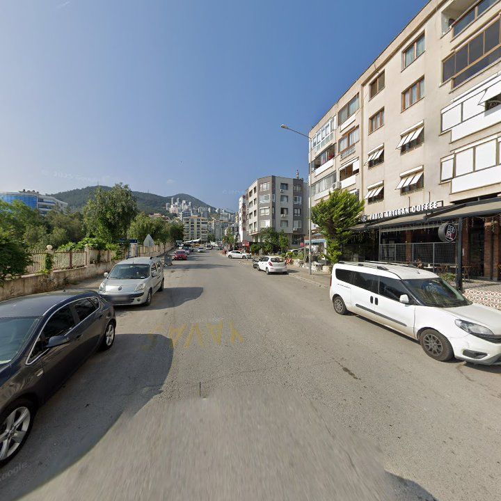 Fotoğraf 11