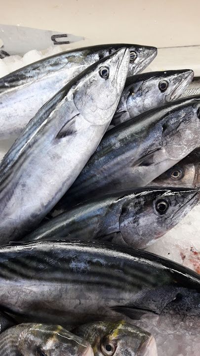 Fotoğraf 14