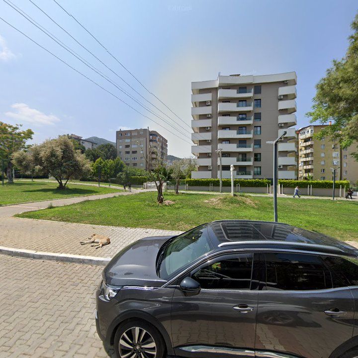 Fotoğraf 8