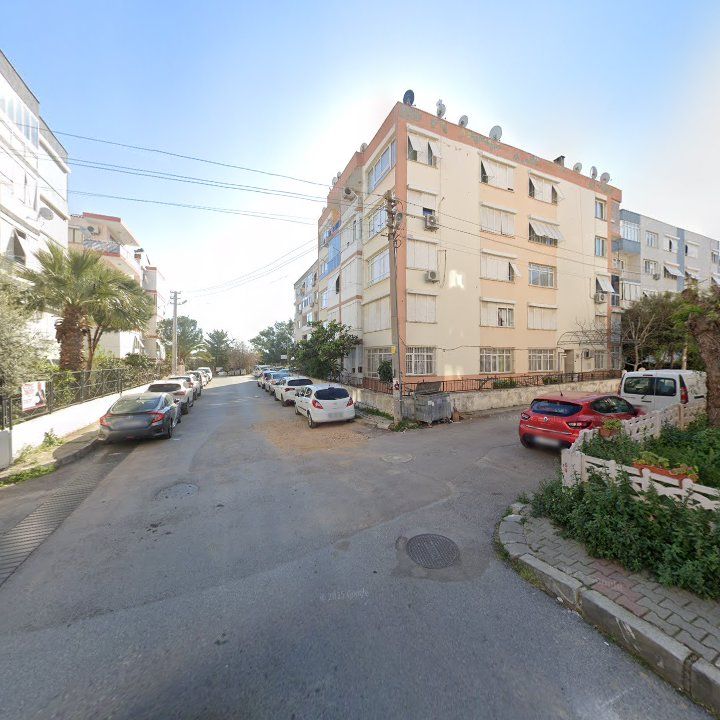 Fotoğraf 11