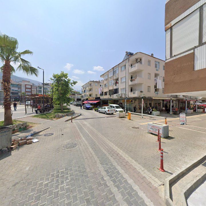 Fotoğraf 9