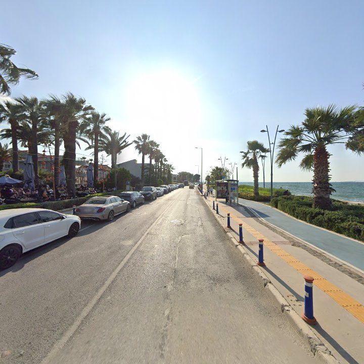 Fotoğraf 11