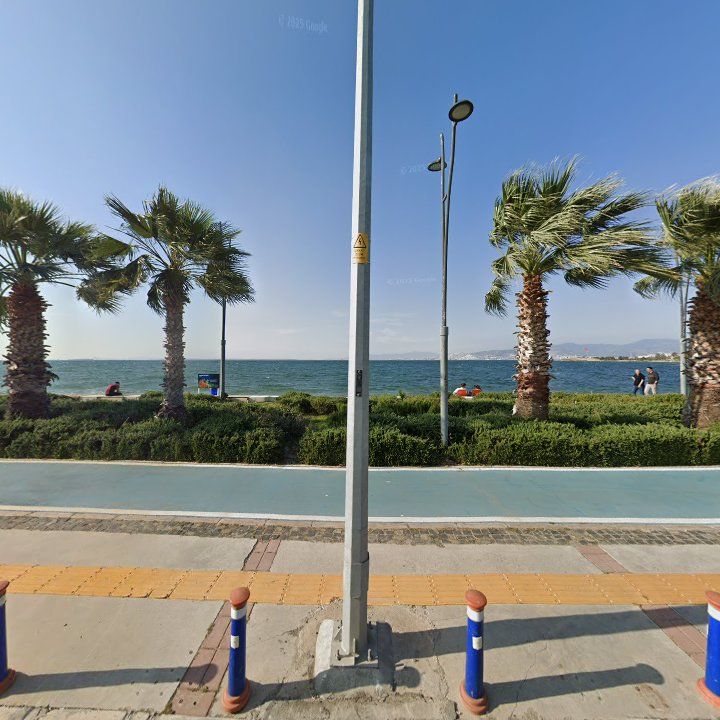 Fotoğraf 12