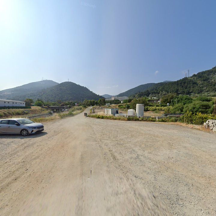 Fotoğraf 12