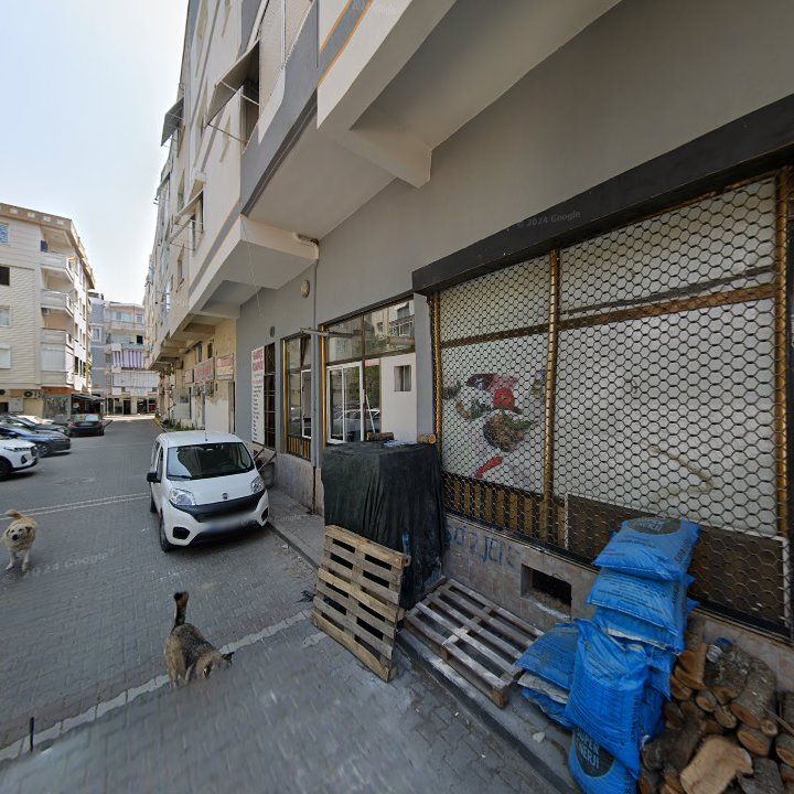 Fotoğraf 6