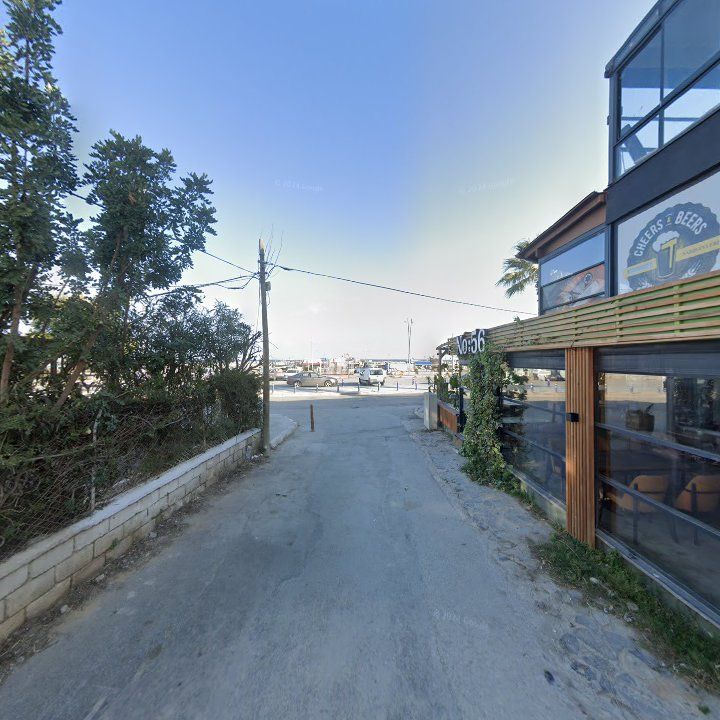 Fotoğraf 12