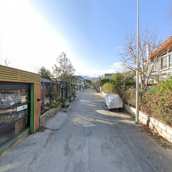Fotoğraf 14