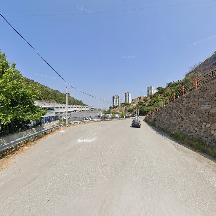 Fotoğraf 12