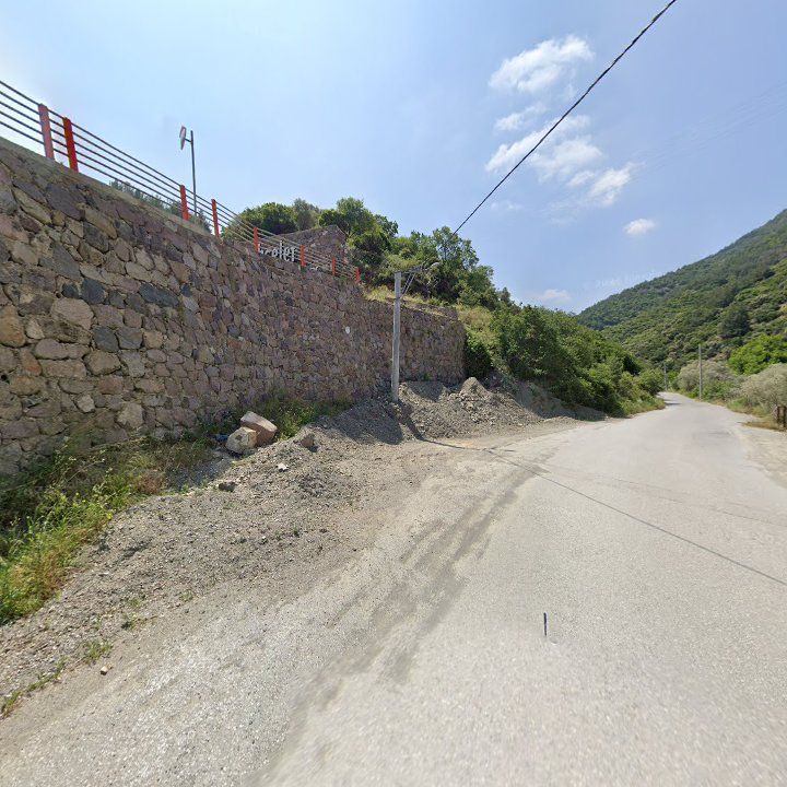 Fotoğraf 10