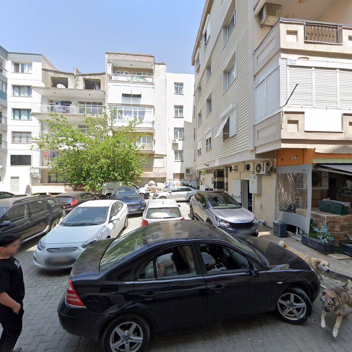 Fotoğraf 7