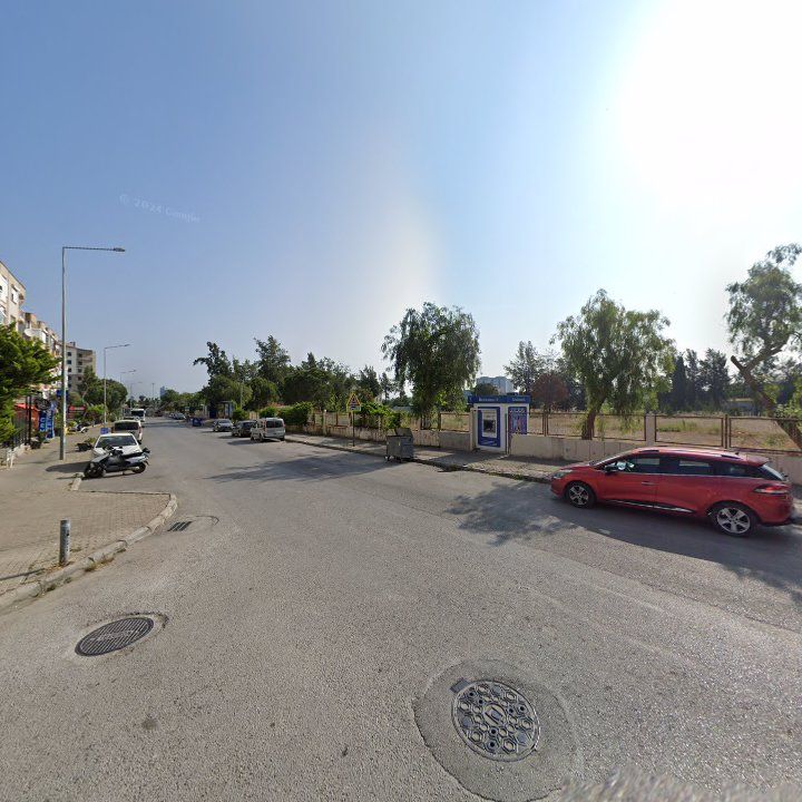 Fotoğraf 8