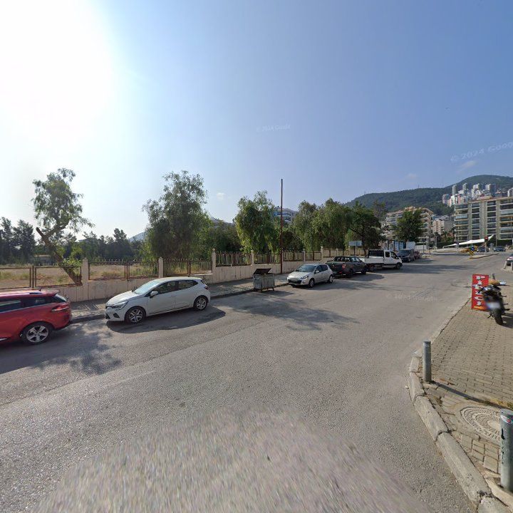 Fotoğraf 9