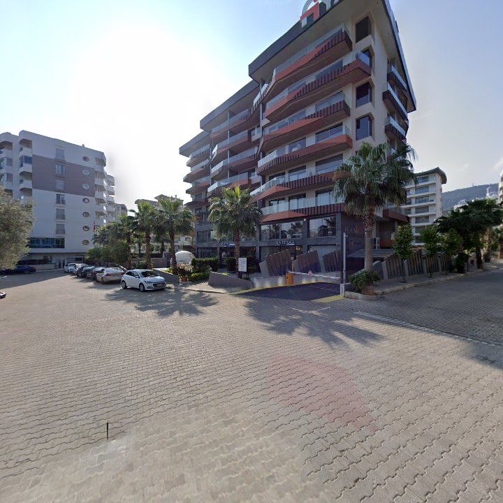 Fotoğraf 10
