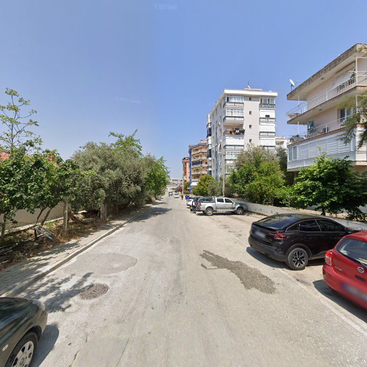Fotoğraf 10