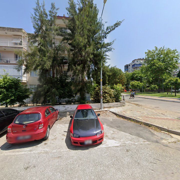 Fotoğraf 11