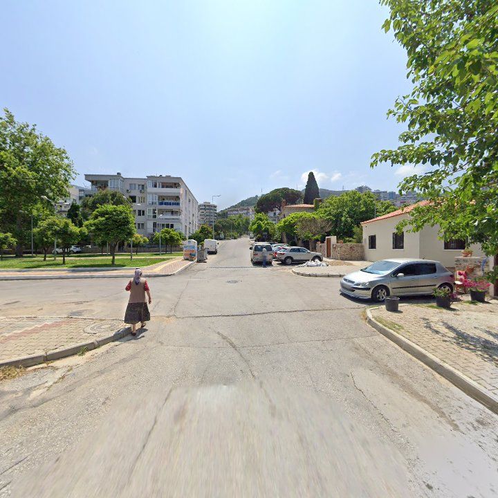 Fotoğraf 12