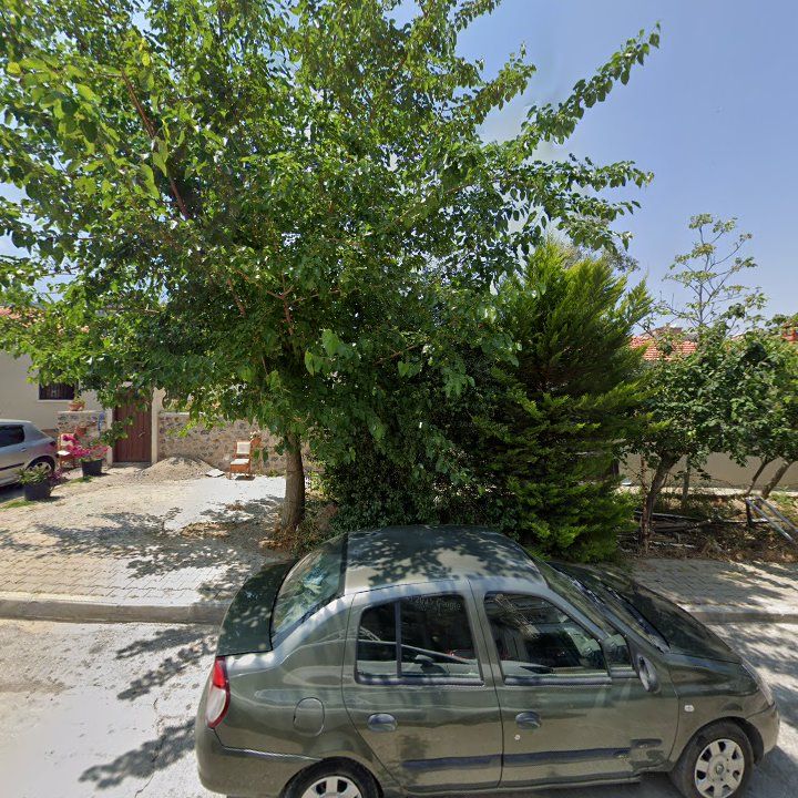 Fotoğraf 9