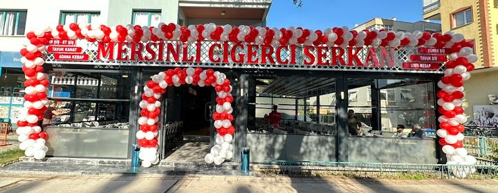 Mersinli ciğerci serkan