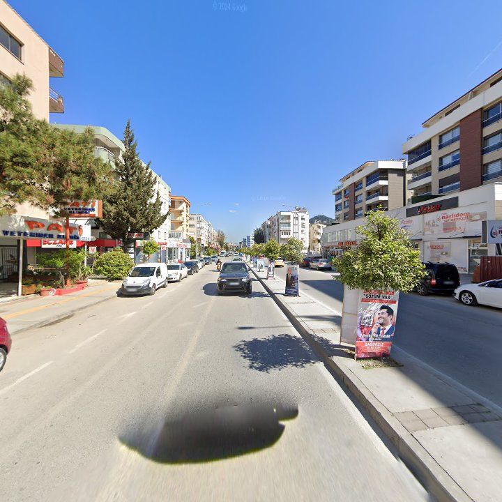 Fotoğraf 6