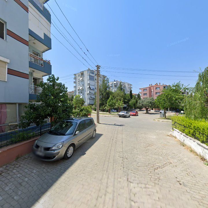 Fotoğraf 9