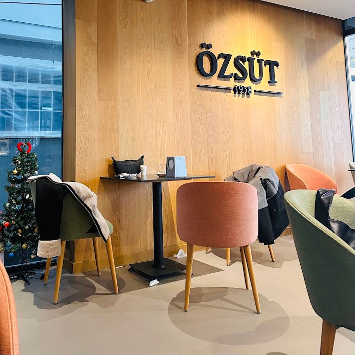 Özsüt Sahilevleri