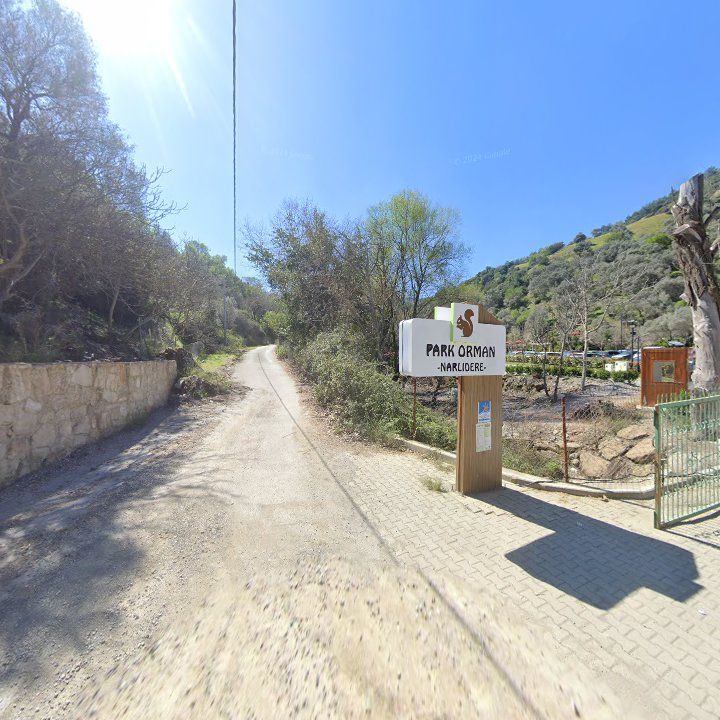 Fotoğraf 10