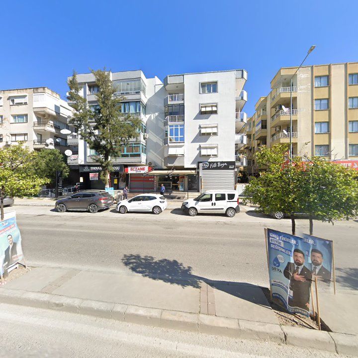 Fotoğraf 8