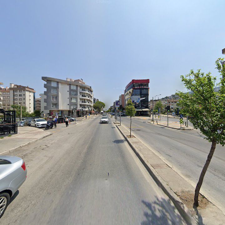 Fotoğraf 13