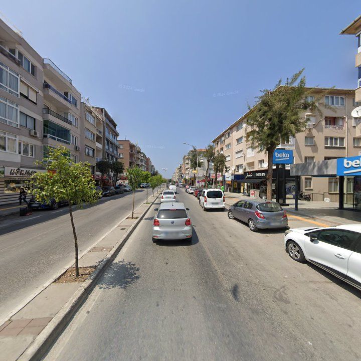 Fotoğraf 15