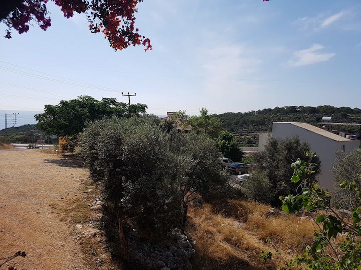Yorum fotoğrafı 3