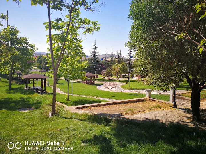 Yorum fotoğrafı 4