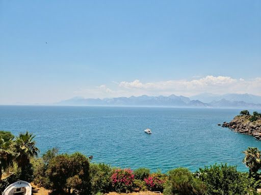 Fotoğraf 23