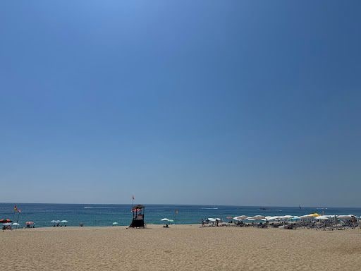 Yorum fotoğrafı 8