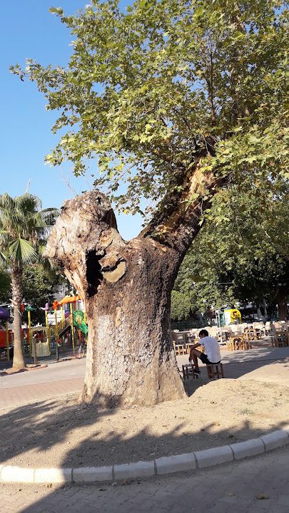 Yorum fotoğrafı 2
