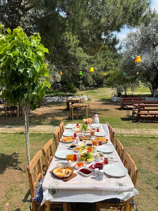 Fotoğraf 11