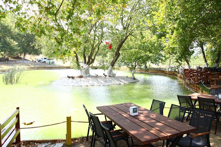 Fotoğraf 28