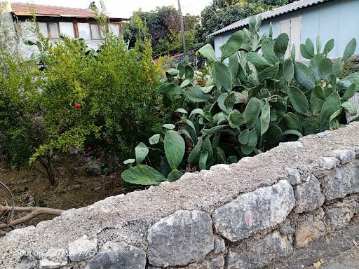 Yorum fotoğrafı 10