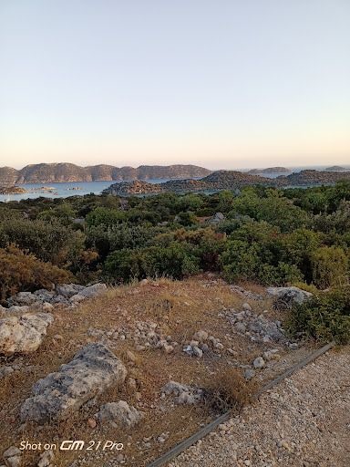 Yorum fotoğrafı 3
