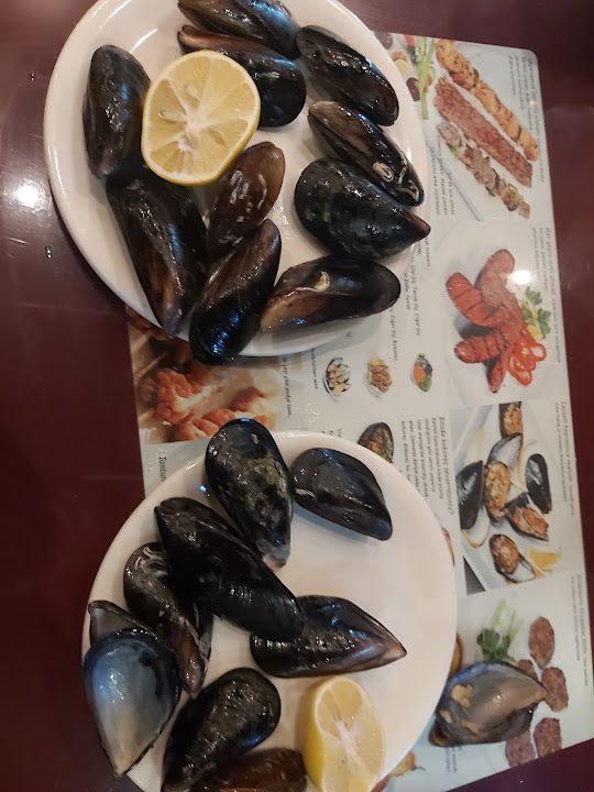 Fotoğraf 23