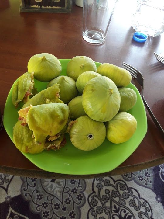 Fotoğraf 17