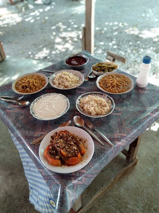 Fotoğraf 14