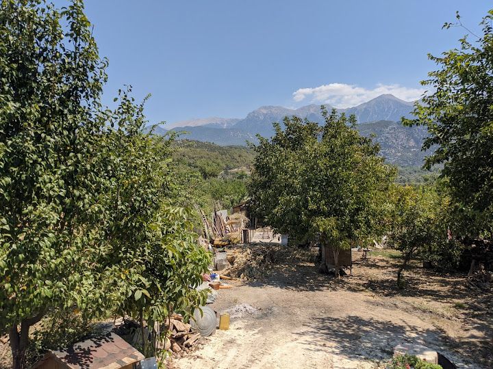 Yorum fotoğrafı 4