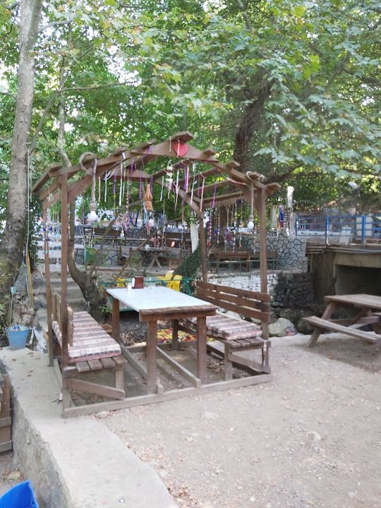 Fotoğraf 27