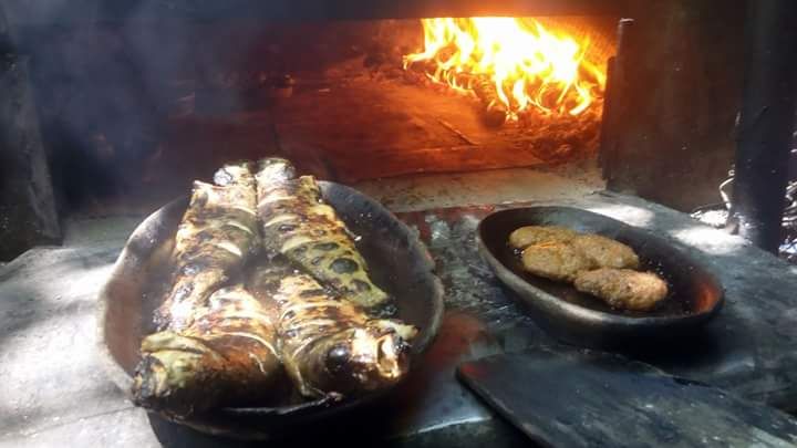 Fotoğraf 31