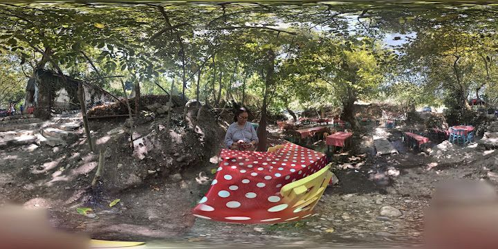 Fotoğraf 40