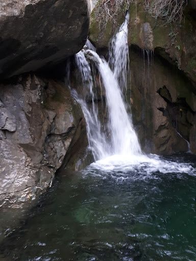 Yorum fotoğrafı 8